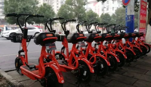 喜大普奔！共享电动单车正式登陆都昌，绿色出行再添新选择